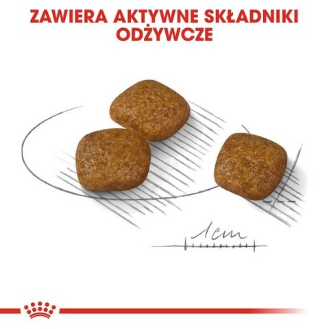 Royal Canin Mini Urinary Care karma sucha dla psów dorosłych, ras małych, ochrona dolnych dróg moczowych 3kg