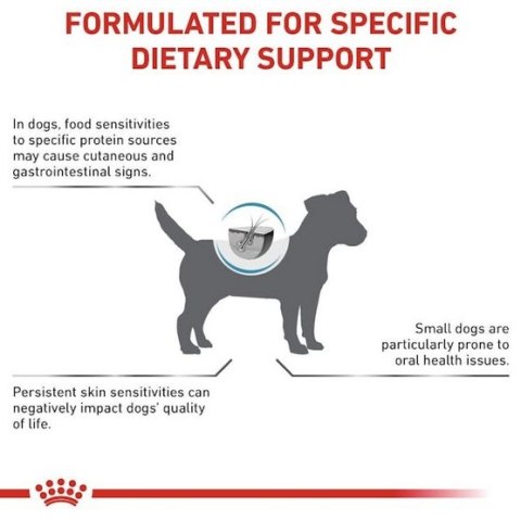 Royal Canin Veterinary Diet Canine Anallergenic Small 3kg