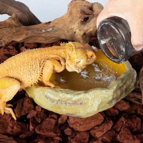 Repti-Zoo Vita-Calcium Shaker - kubek do obsypywania owadów karmowych Repti-Zoo Vita-Calcium Shaker - kubek do obsypywania owadów karmowych