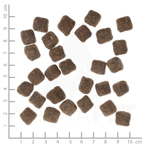 Wolfsblut Dog Dark Forest Small - dziczyzna i bataty 2kg Wolfsblut Dog Dark Forest Small - dziczyzna i bataty 2kg