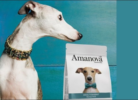 Amanova Dog Adult Exigent Iberian Pork - wieprzowina 2kg Amanova Dog Adult Exigent Iberian Pork - wieprzowina 2kg