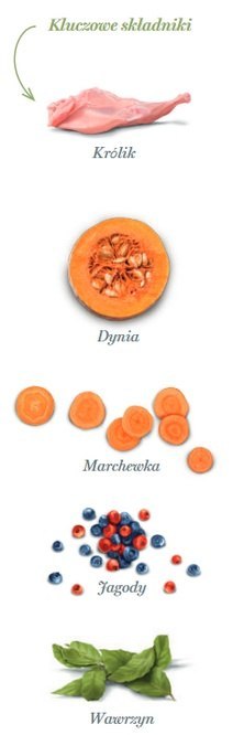 Amanova Dog Adult Mini Digestive Divine Rabbit - królik 800g Amanova Dog Adult Mini Digestive Divine Rabbit - królik 800g