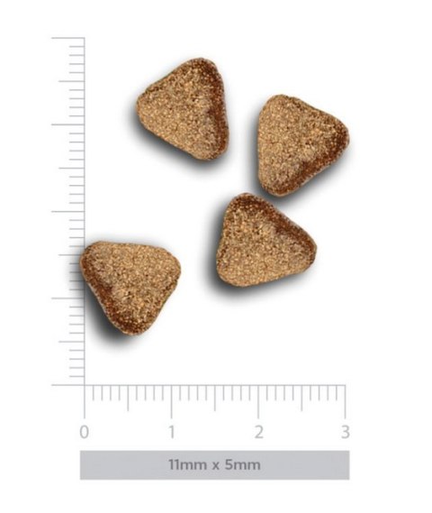 Amanova Dog Adult Mini Digestive Divine Rabbit - królik 800g Amanova Dog Adult Mini Digestive Divine Rabbit - królik 800g