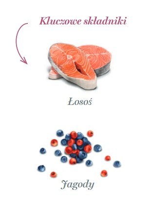 Amanova Dog Salmon Bites - łosoś 100g Amanova Dog Salmon Bites - łosoś 100g