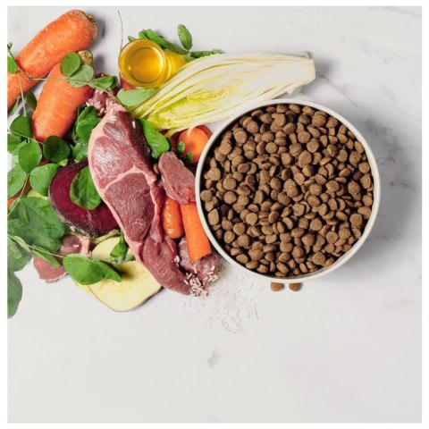 Comfy Appetit Vita Superfood Lamb 12kg - monobiałkowa karma dla psów dorosłych i szczeniąt Comfy Appetit Vita Superfood Lamb 12kg - monobiałkowa karma dla psów dorosłych i szczeniąt