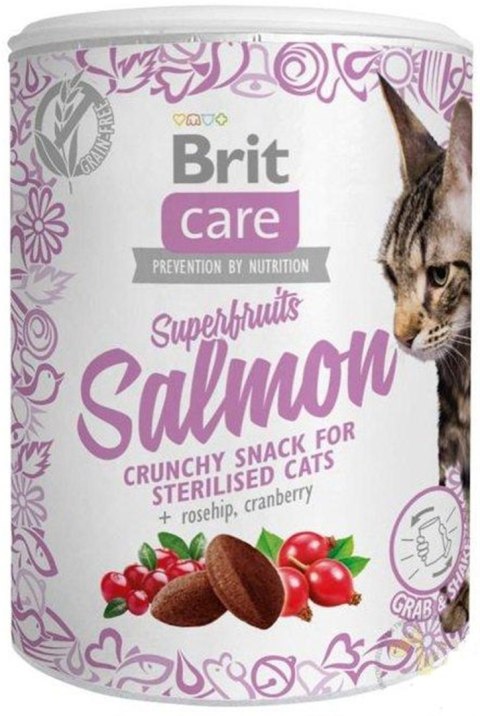 BRIT CARE CAT SNACK SUPERFRUITS SALMON 100g