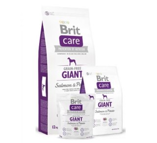 BRIT CARE GRAIN-FREE GIANT SALMON & POTATO 12kg