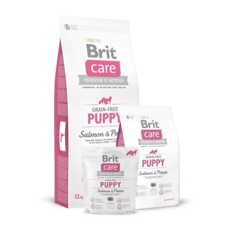 BRIT CARE GRAIN-FREE PUPPY SALMON & POTATO 3 kg