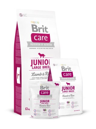 BRIT CARE JUNIOR LARGE BREED LAMB & RICE 12kg