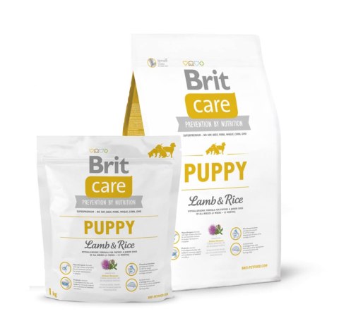 BRIT CARE PUPPY LAMB & RICE 1kg