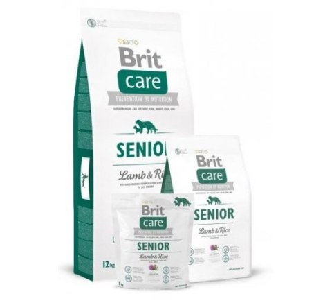 BRIT CARE SENIOR LAMB & RICE 3kg