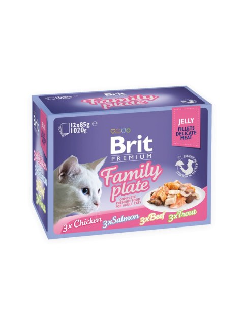 BRIT POUCH JELLY FILLET FAMILY PLATE 12x85g