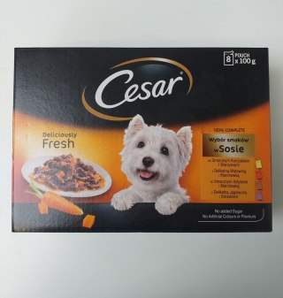 CESAR wybór smaków w sosie 8*100g [308813]