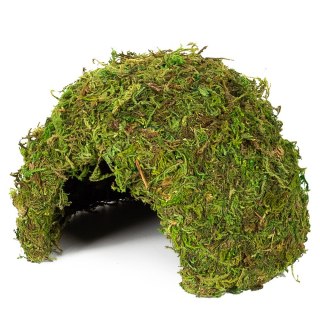 Repti-Zoo Natural Mossy Dome M - kryjówka z mchu