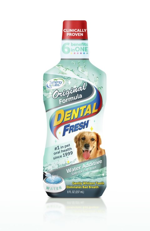 Dental Fresh