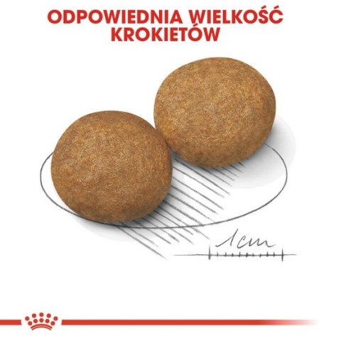 Royal Canin Medium Adult karma sucha dla psów dorosłych, ras średnich 4kg