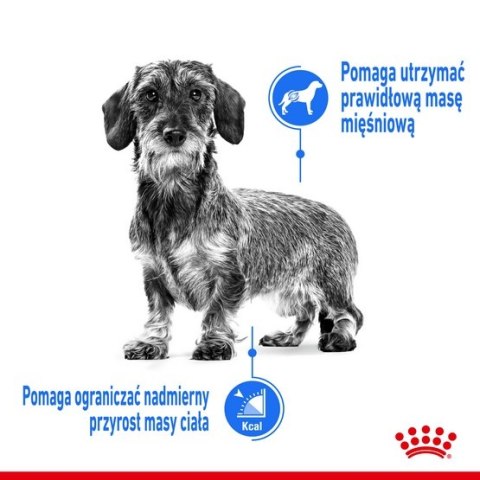 Royal Canin Mini Light Weight Care karma sucha dla psów dorosłych, ras małych z tendencją do nadwagi 8kg