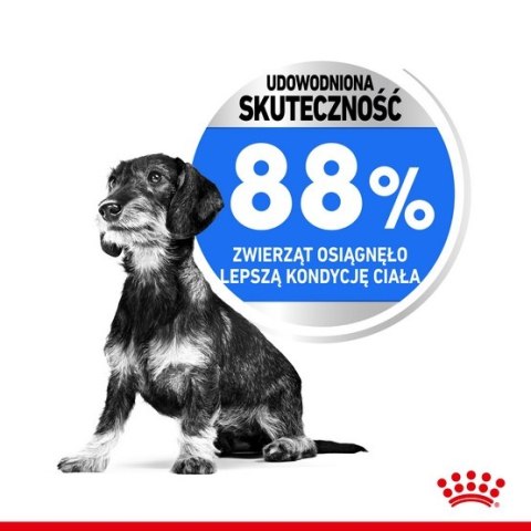 Royal Canin Mini Light Weight Care karma sucha dla psów dorosłych, ras małych z tendencją do nadwagi 8kg