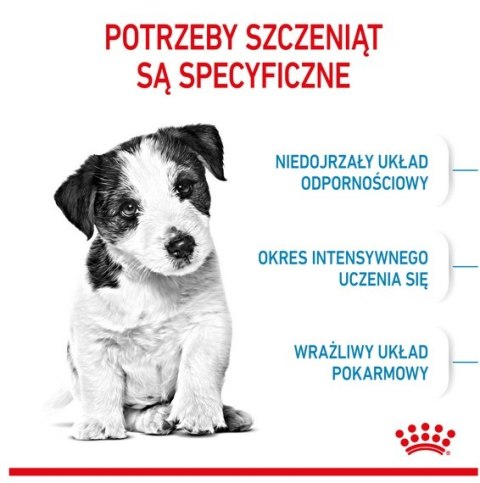 Royal Canin Mini Puppy karma sucha dla szczeniąt, od 2 do 10 miesiąca życia, ras małych 8kg