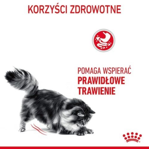 Royal Canin Digestive Care karma sucha dla kotów dorosłych, wspomagająca przebieg trawienia 2kg