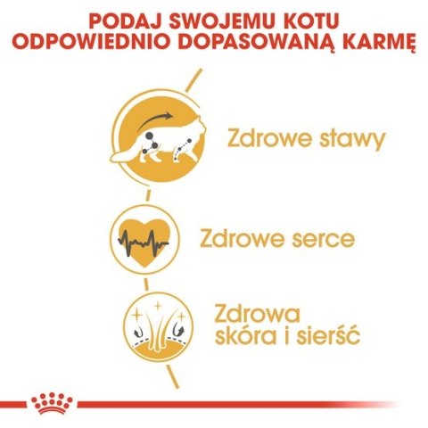 Royal Canin Maine Coon Adult karma sucha dla kotów dorosłych rasy maine coon 10kg