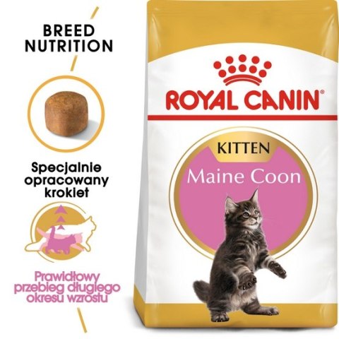 Royal Canin Maine Coon Kitten karma sucha dla kociąt, do 15 miesiąca, rasy maine coon 4kg