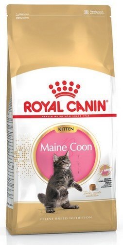 Royal Canin Maine Coon Kitten karma sucha dla kociąt, do 15 miesiąca, rasy maine coon 4kg