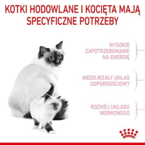 Royal Canin Mother&Babycat karma sucha dla kotek w okresie ciąży, laktacji i kociąt od 1 do 4 miesiąca 2kg