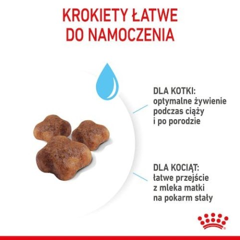 Royal Canin Mother&Babycat karma sucha dla kotek w okresie ciąży, laktacji i kociąt od 1 do 4 miesiąca 400g