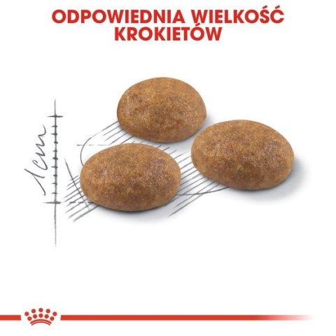 Royal Canin Outdoor karma sucha dla kotów dorosłych, wychodzących na zewnątrz 2kg