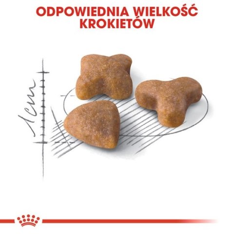 Royal Canin Sensible karma sucha dla kotów dorosłych, o wrażliwym przewodzie pokarmowym 4kg