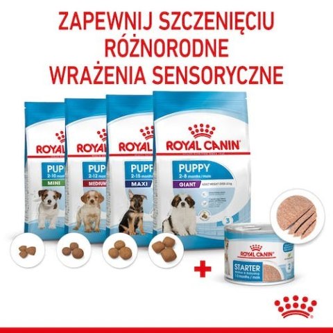 Royal Canin Starter Mother&Babydog karma mokra - mus, dla suk w czasie ciąży, laktacji oraz szczeniąt puszka 195g