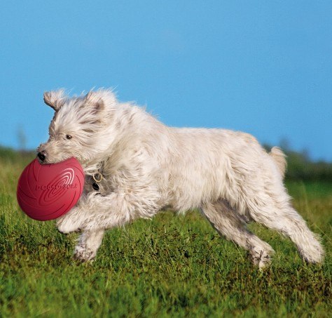 Trixie Frisbee Dysk Dog Disc 18cm [TX-33501]