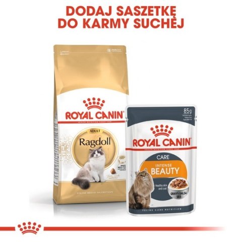 Royal Canin Ragdoll Adult karma sucha dla kotów dorosłych rasy ragdoll 400g