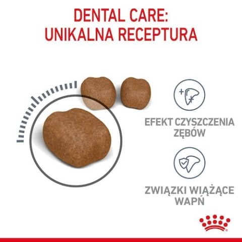 Royal Canin Dental Care karma sucha dla kotów dorosłych, redukująca odkładanie kamienia nazębnego 3,5kg