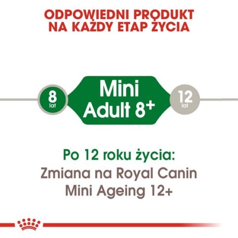 Royal Canin Mini Adult 8+ karma sucha dla psów starszych od 8 do 12 roku życia, ras małych 800g