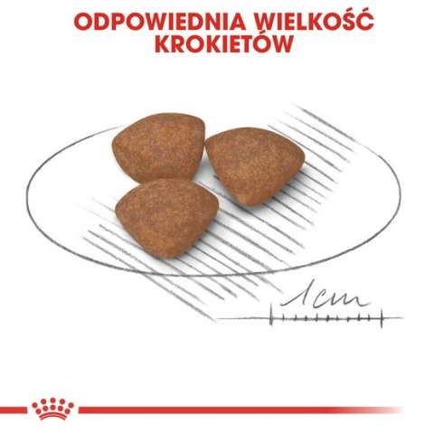 Royal Canin Mini Puppy karma sucha dla szczeniąt, od 2 do 10 miesiąca życia, ras małych 800g