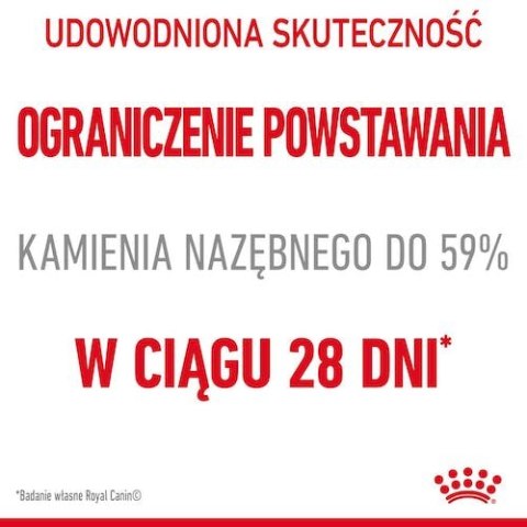 Royal Canin Dental Care karma sucha dla kotów dorosłych, redukująca odkładanie kamienia nazębnego 400g