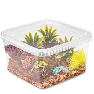 Terrario ReptiBox 19x19x12cm - przeźroczyste terrarium faunarium