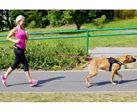 Dingo Smycz do biegania - taśma z amortyzatorem 170cm z rączką zielona