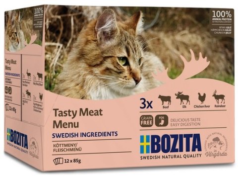 Bozita Cat Multibox z mięsem w galaretce saszetki 12x85g