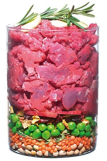 Carnilove Dog True Fresh Beef Adult - wołowina 1,4kg