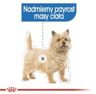 Royal Canin Light Weight Care karma mokra dla psów dorosłych, wszystkich ras z tendencją do nadwagi saszetka 85g