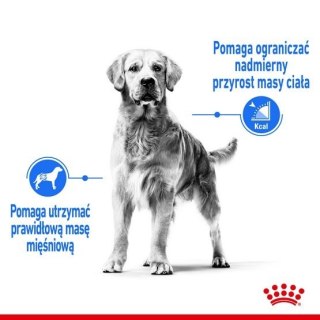 Royal Canin Maxi Light Weight Care karma sucha dla psów dorosłych, ras dużych z tendencją do nadwagi 3kg