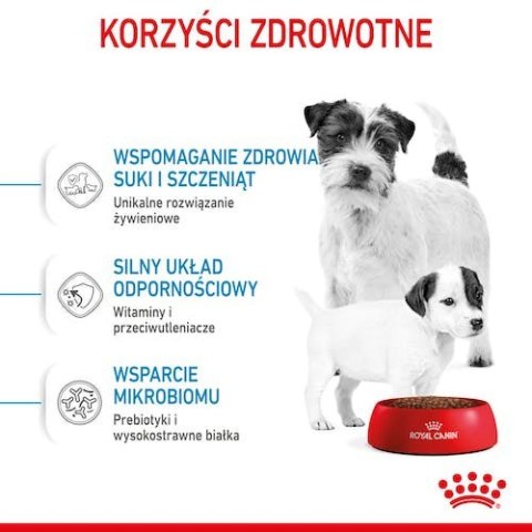 Royal Canin Mini Starter Mother&Babydog karma sucha dla szczeniąt do 2 miesiąca i suk karmiących ras małych 4kg