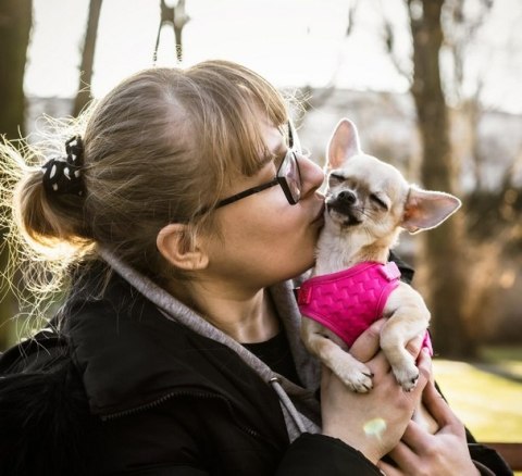 Dingo Szelki bezuciskowe z dwupaskową regulacją M różowe