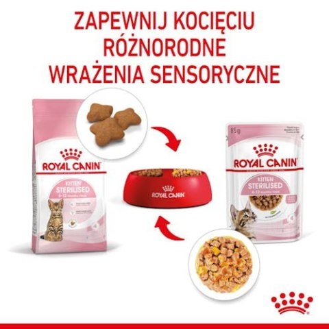 Royal Canin Kitten Sterilised karma mokra w galaretce dla kociąt od 6 do 12 miesiąca życia, sterylizowanych saszetka 85g