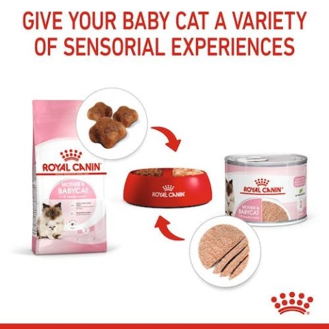 Royal Canin Mother & Babycat Mousse karma mokra - mus dla kociąt i kotek karmiących puszka 195g