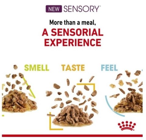 Royal Canin Sensory Taste w sosie karma mokra dla kotów dorosłych saszetka 85g