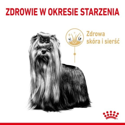 Royal Canin Yorkshire Terrier Adult 8+ karma sucha dla psów starszych rasy yorkshire terrier 500g